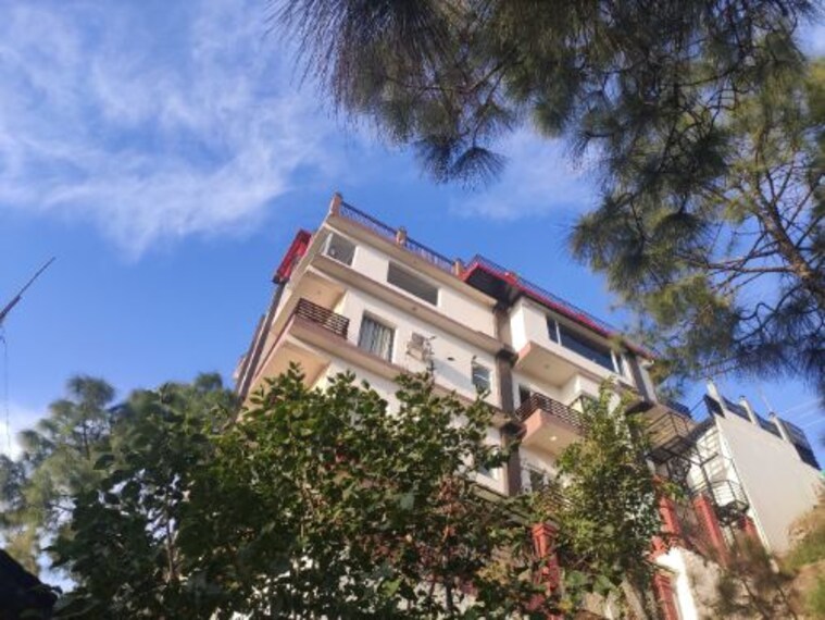 Wood Stock Kasauli_5